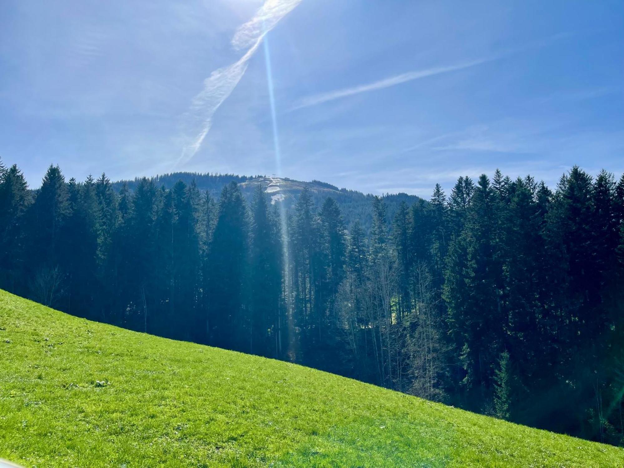 Apartment Berghof Елмау Екстериор снимка