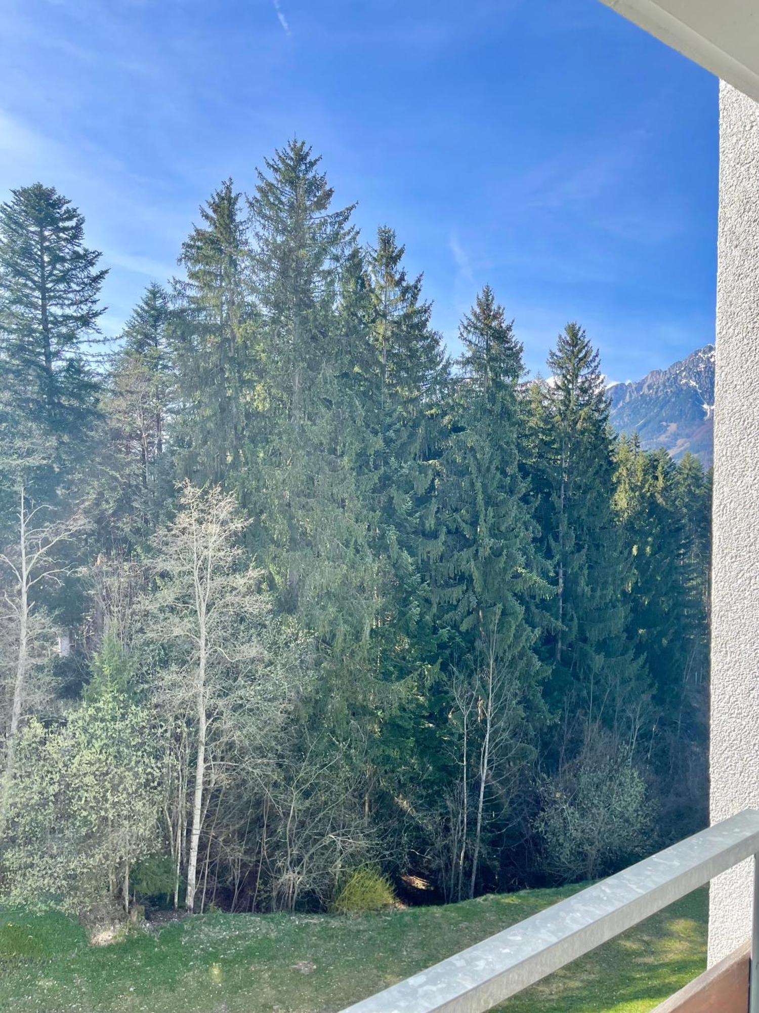 Apartment Berghof Елмау Екстериор снимка